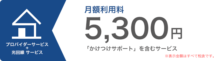 光回線のインターネット接続サービス